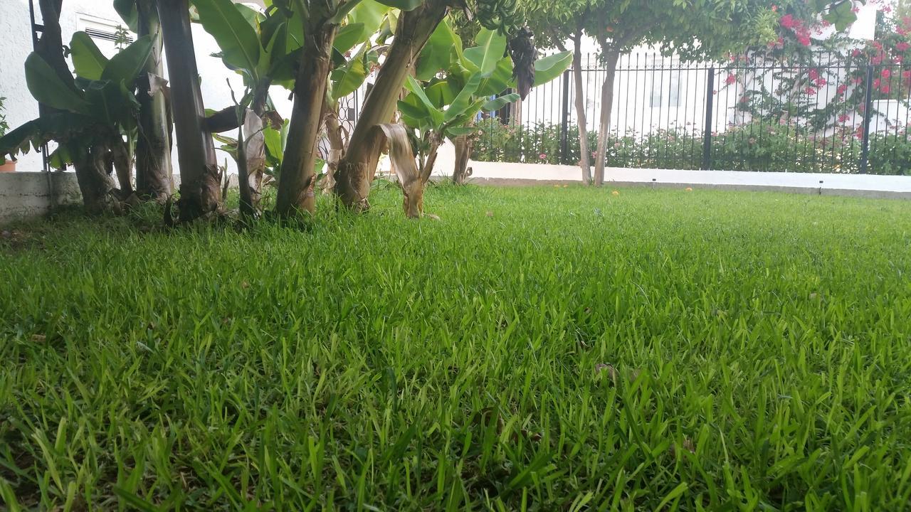 Rubini Rooms Parikia  Exterior photo